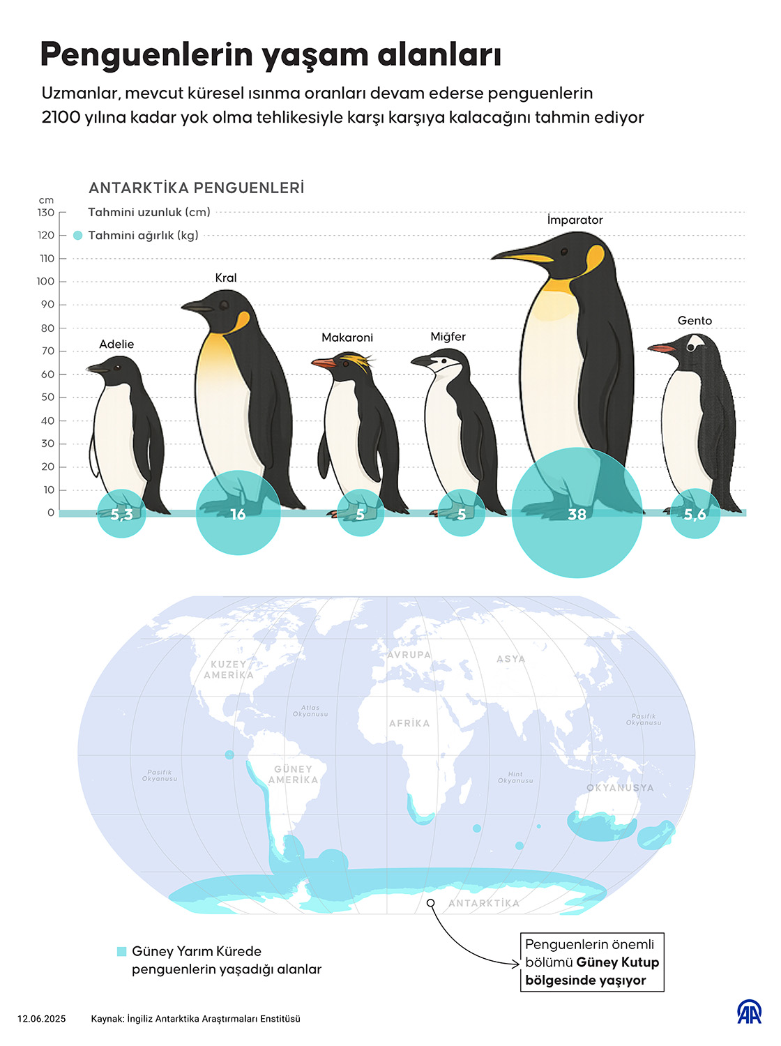 Penguenlerin yaşam alanları