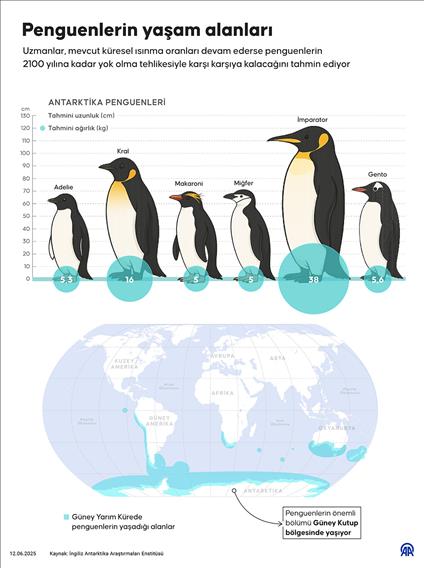 Penguenlerin yaşam alanları