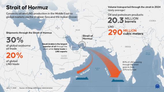 Infographic