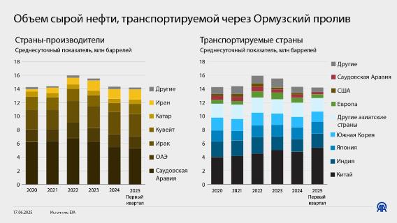 инфографика
