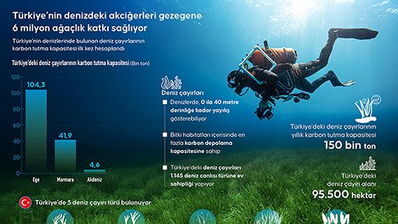 İnfografik