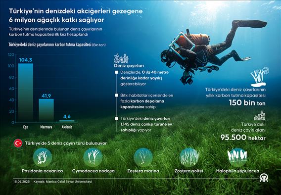 Türkiye’nin denizdeki akciğerleri gezegene 6 milyon ağaçlık katkı sağlıyor