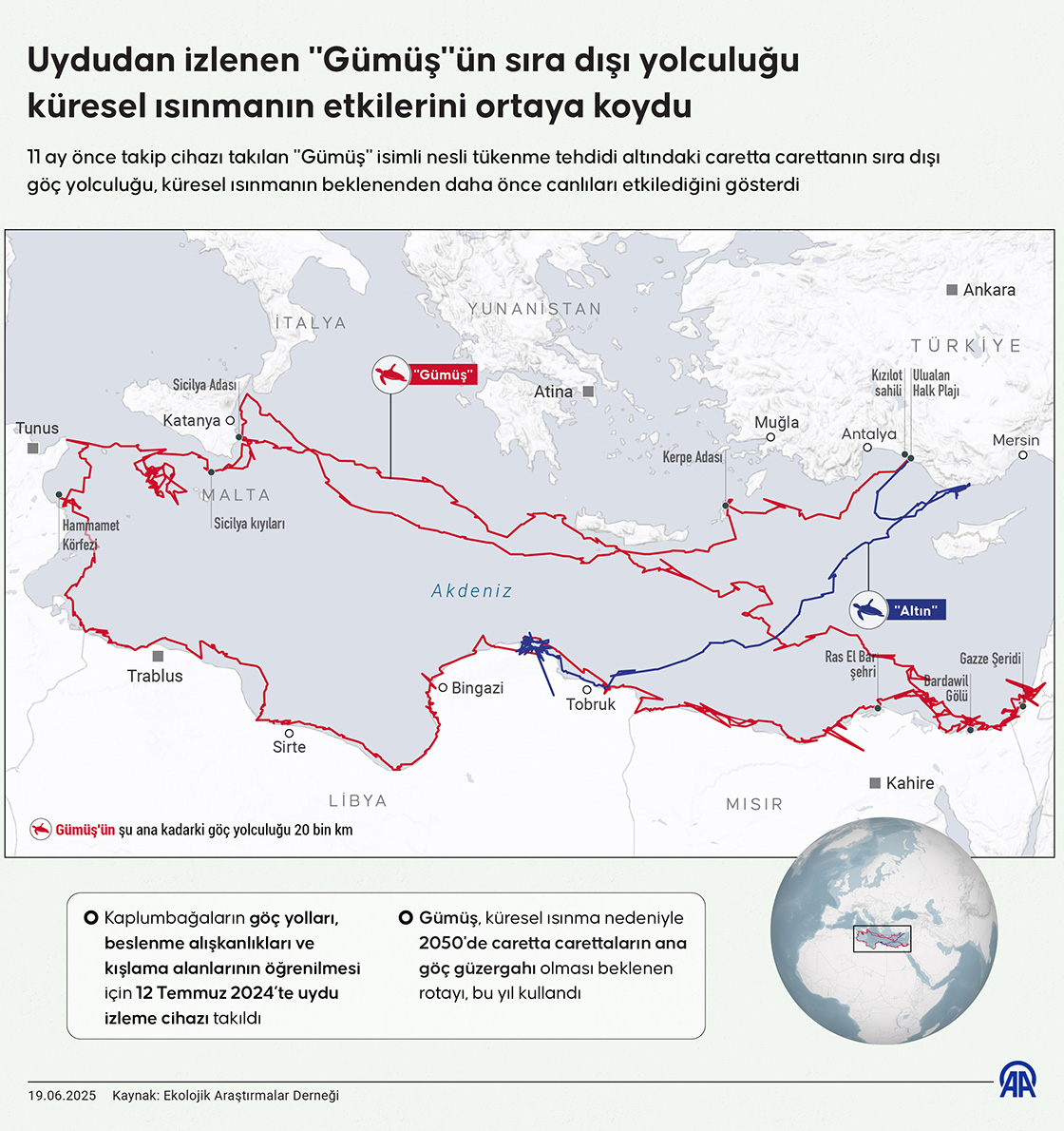 Uydudan izlenen "Gümüş"ün sıra dışı yolculuğu küresel ısınmanın etkilerini ortaya koydu