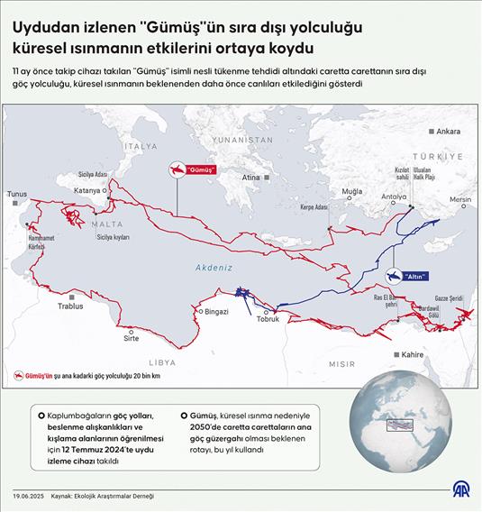 Uydudan izlenen "Gümüş"ün sıra dışı yolculuğu küresel ısınmanın etkilerini ortaya koydu