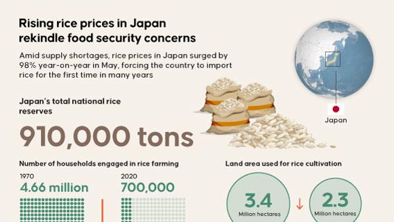 Japan's rising rice prices spark food security concerns