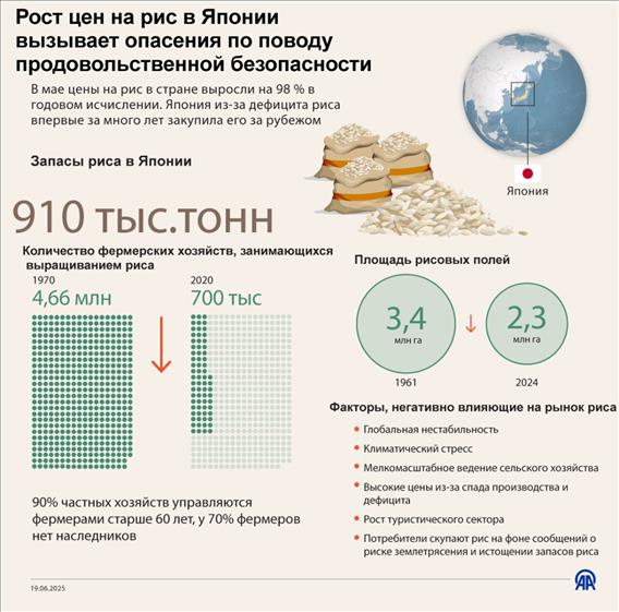 Рост цен на рис в Японии вызывает опасения по поводу продовольственной безопасности