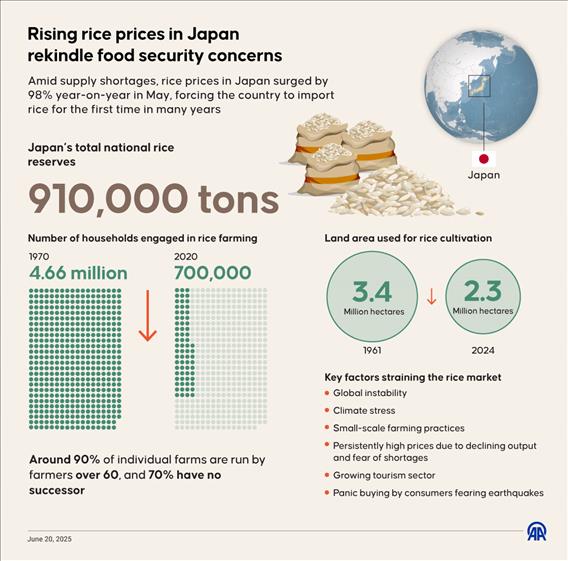 Japan's rising rice prices spark food security concerns