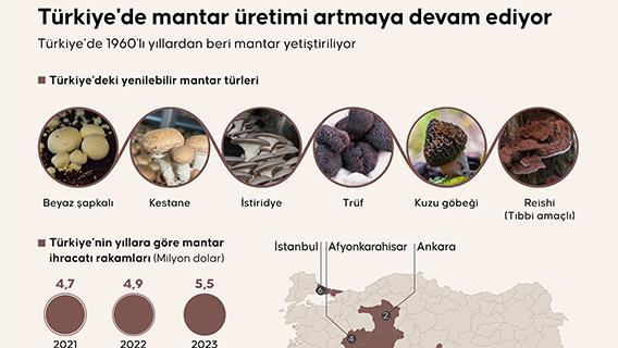 Türkiye'de mantar üretimi artmaya devam ediyor