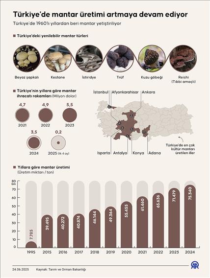 Türkiye'de mantar üretimi artmaya devam ediyor