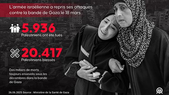 Infographie
