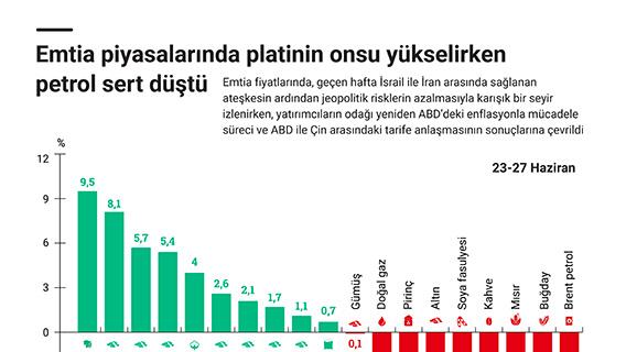 İnfografik
