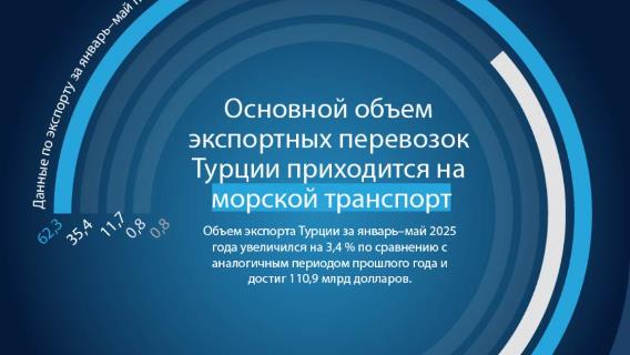 инфографика