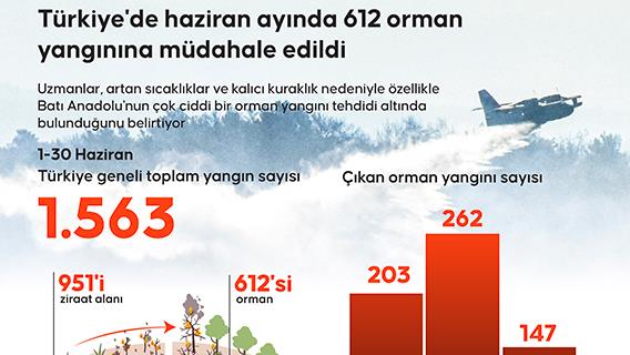 Türkiye'de haziranda 612 orman yangınına müdahale edildi