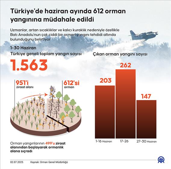 Türkiye'de haziranda 612 orman yangınına müdahale edildi