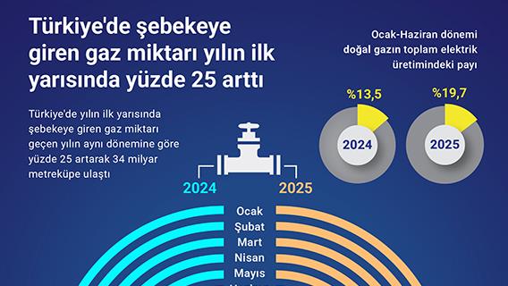 İnfografik