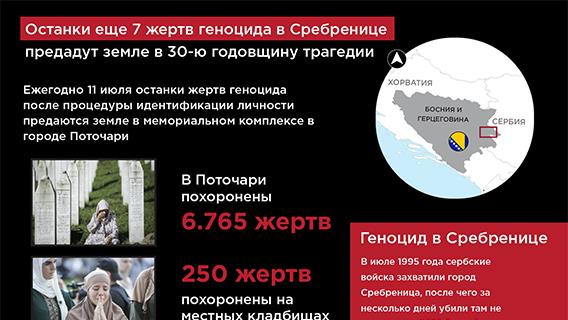 инфографика
