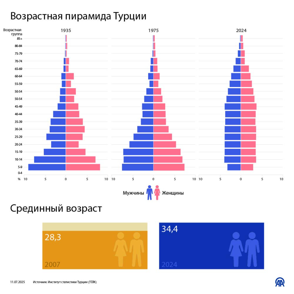 Возрастная пирамида Турции