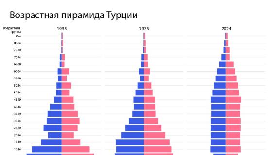 Возрастная пирамида Турции