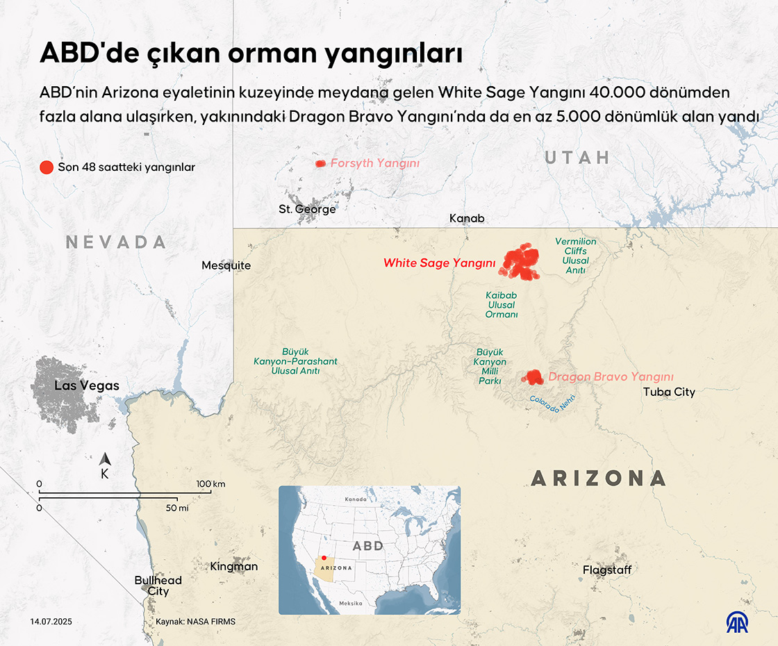 ABD'de çıkan orman yangınları