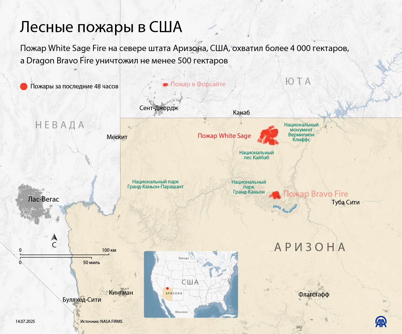 Лесные пожары в США