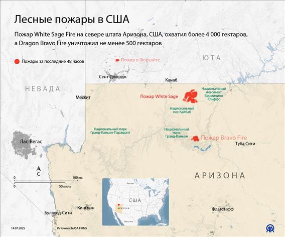 Лесные пожары в США