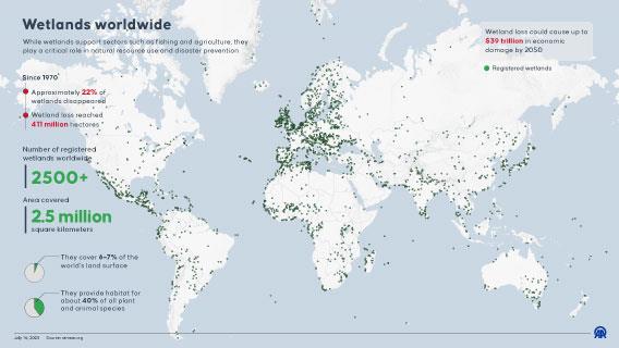 Wetlands worldwide