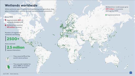 Wetlands worldwide