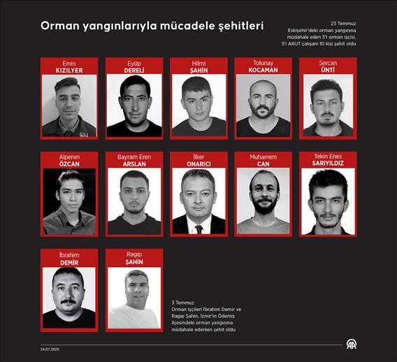 Orman yangınlarıyla mücadele şehitleri