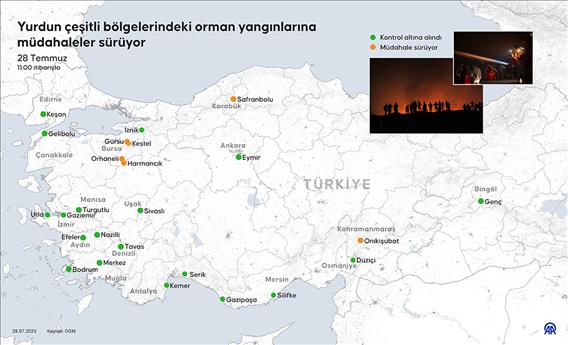 Yurdun çeşitli bölgelerindeki orman yangınlarına müdahaleler sürüyor