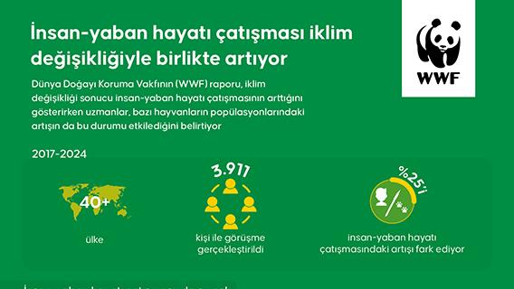 İnsan-yaban hayatı çatışması iklim değişikliğiyle birlikte artıyor