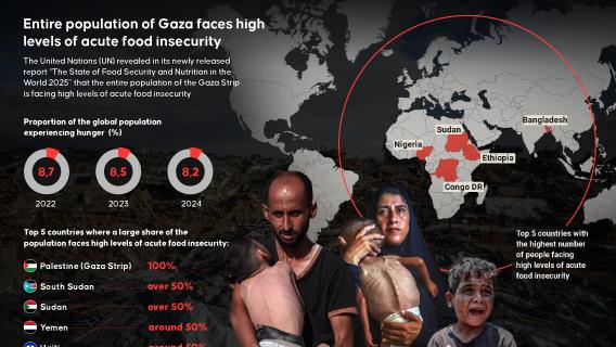 Gaza's entire 2.3 million residents are experiencing severe food shortages