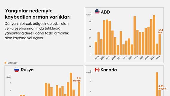 Dünyanın ormanları yangın tehdidi altında