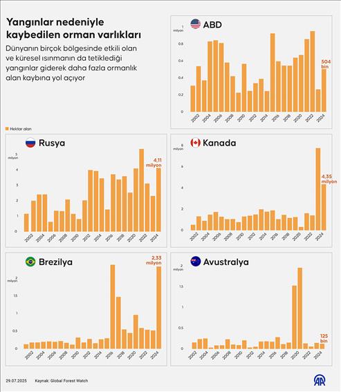 Dünyanın ormanları yangın tehdidi altında