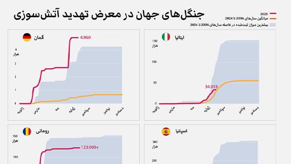 اینفوگرافیک