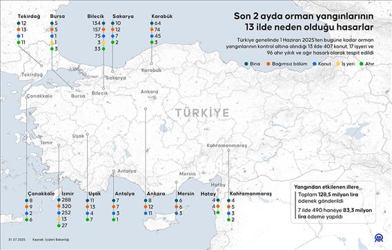 Son 2 ayda orman yangınlarının 13 ilde neden olduğu hasarlar