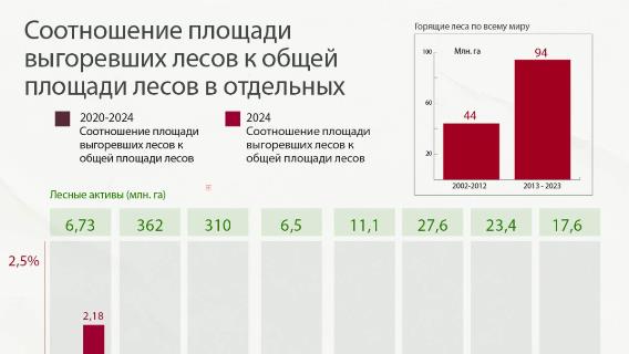 Соотношение площади выгоревших лесов к общей площади лесов в отдельных странах