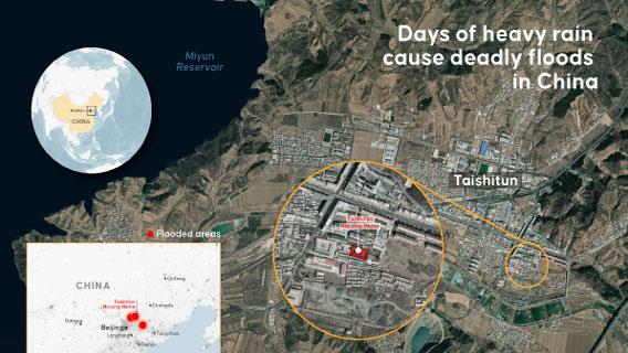 Infographic