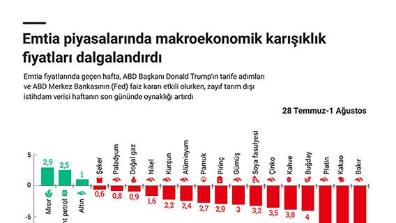 İnfografik