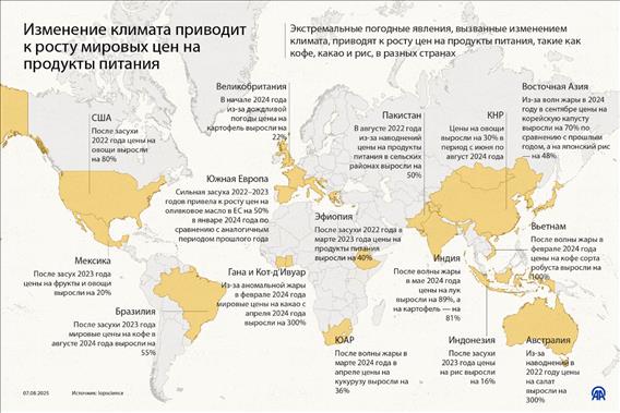 Изменение климата приводит к росту мировых цен на продукты питания