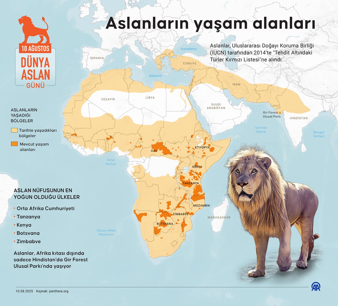 Aslanların yaşam alanları