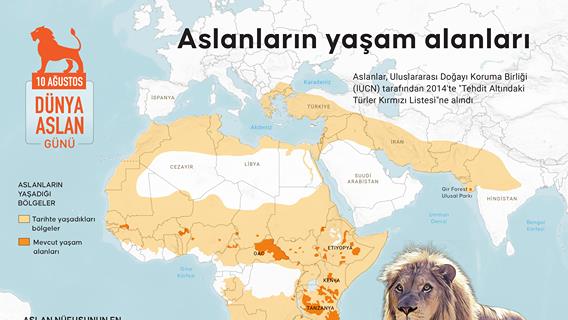 İnfografik