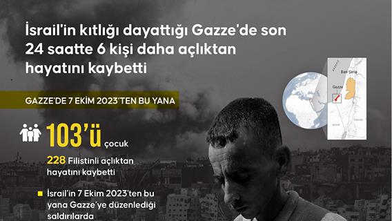 İnfografik