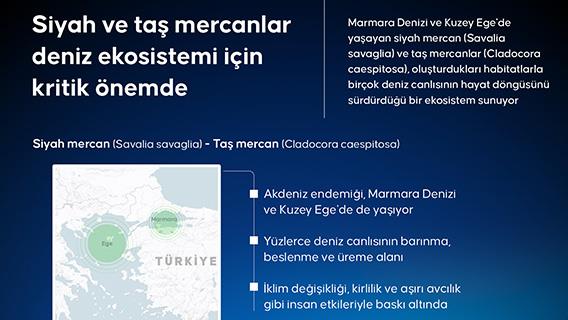 İnfografik