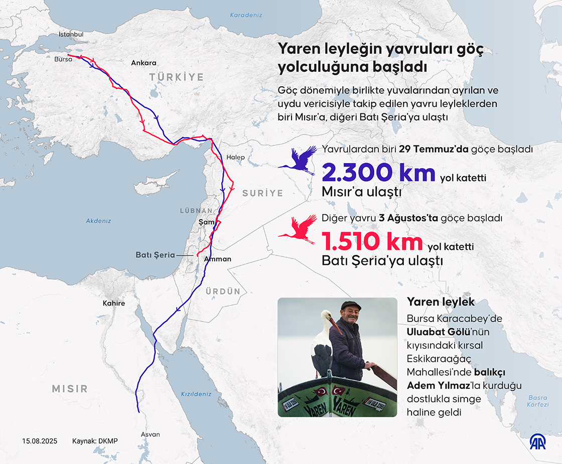 Yaren leyleğin yavruları göç yolculuğuna başladı