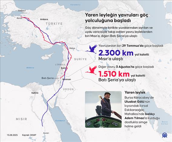 Yaren leyleğin yavruları göç yolculuğuna başladı