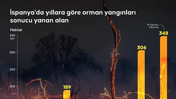 İspanya'da yıllara göre orman yangınları sonucu yanan alan
