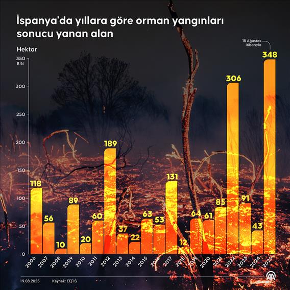 İspanya'da yıllara göre orman yangınları sonucu yanan alan
