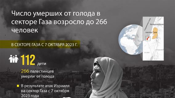 Число умерших от голода в секторе Газа возросло до 266 человек 