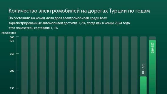 Количество электромобилей на дорогах Турции по годам