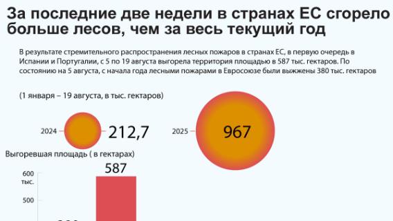 инфографика